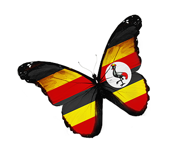 butterfly uganda